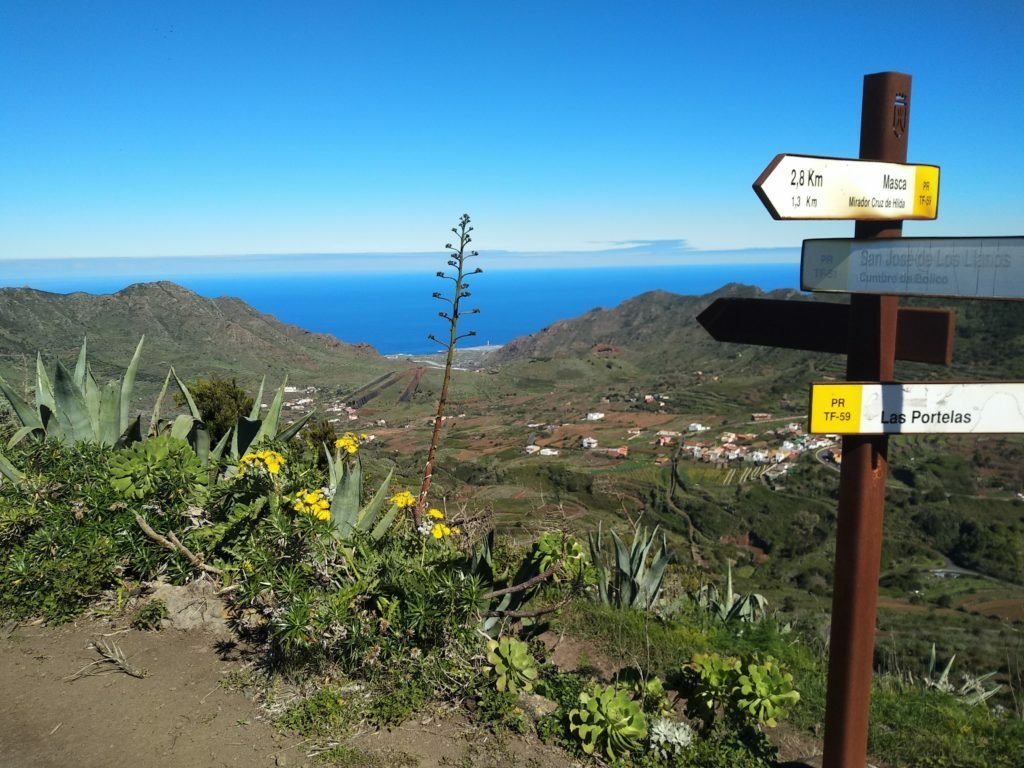 hiking tenerife punta del hidalgo