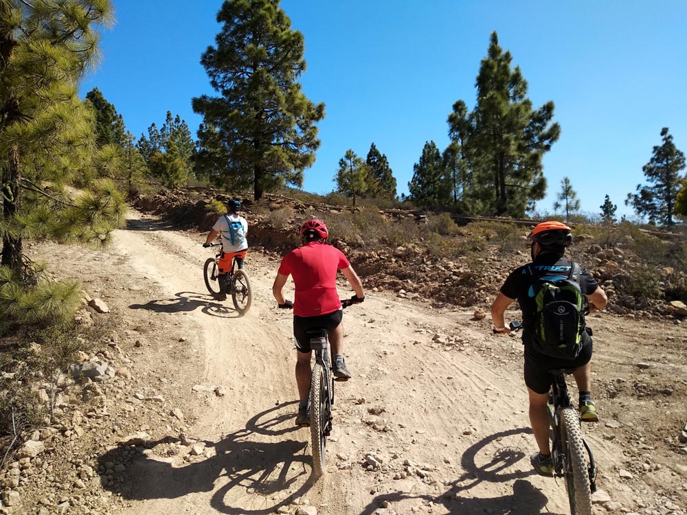 vtt electrique formule decouverte